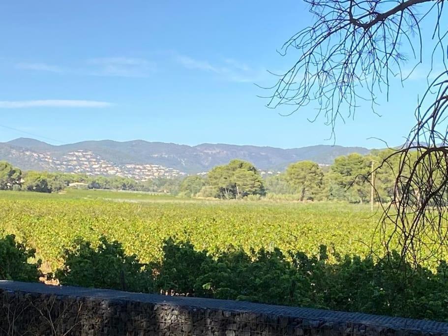 Ravissant T3 En Duplex Proche Mer La Londe-les-Maures Dış mekan fotoğraf